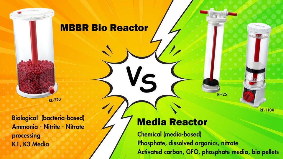 MBBR Bio Reactor vs Media Reactor – What’s the Difference?