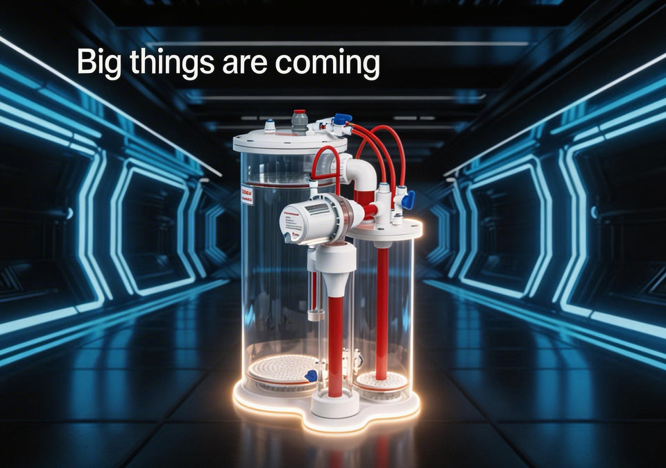 What Is a Calcium Reactor?