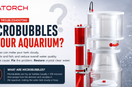 Why Is Your Protein Skimmer Producing Microbubbles?