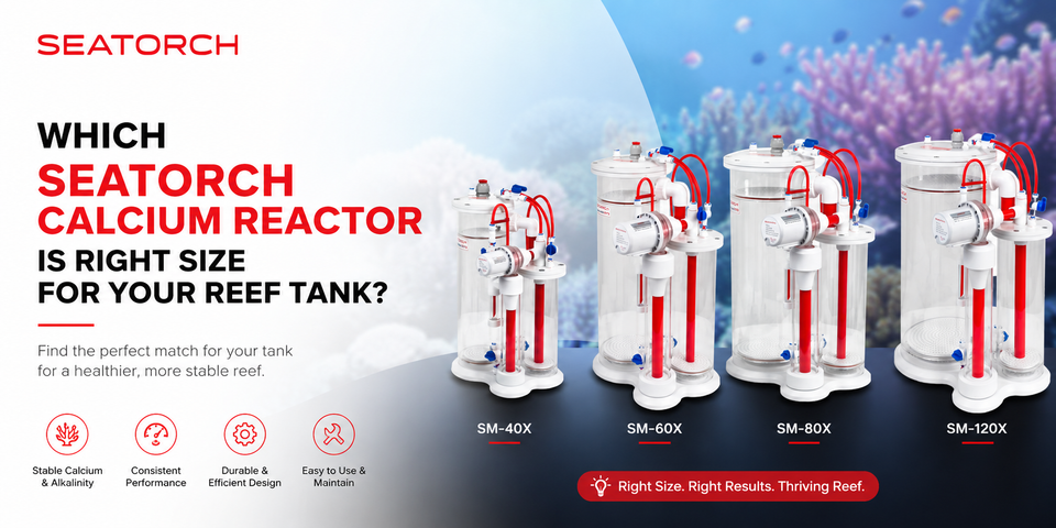 Which Seatorch Calcium Reactor Is Right Size for Your Reef Tank?