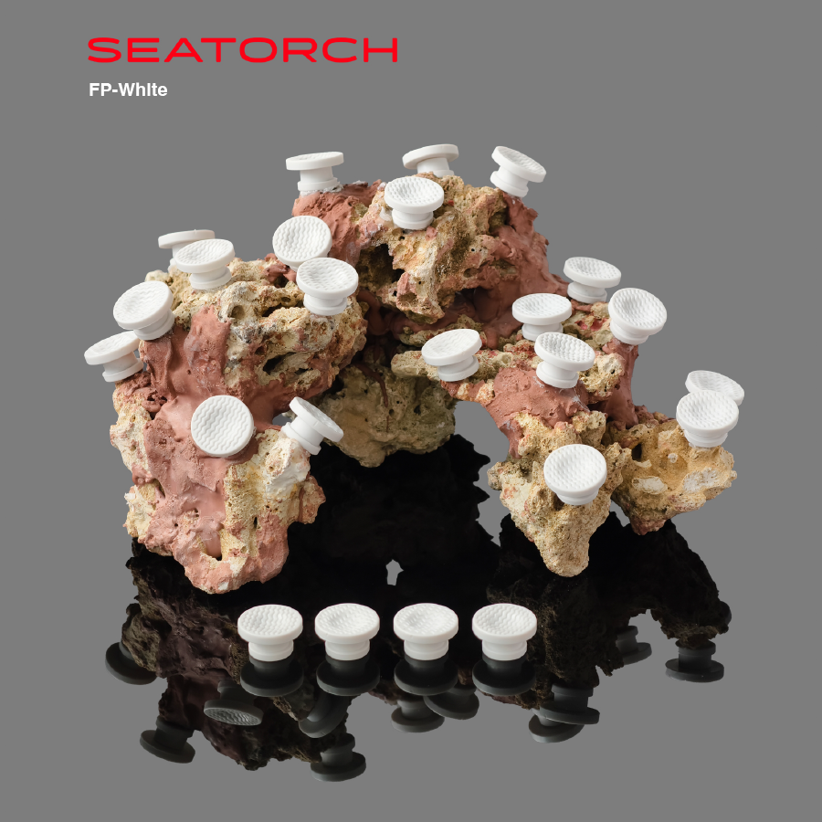ABS material coral frag plug
Durable ABS frag plugs for reef tank
Coral propagation plugs for SPS corals
Reef aquarium coral frag mounting plugs
High quality ABS coral frag plugs
Reusable frag plugs for marine aquarium
Reef safe ABS frag plugs
Coral fragging accessories for reef tank
Frag plugs for coral propagation system
Professional coral frag mounting plugs