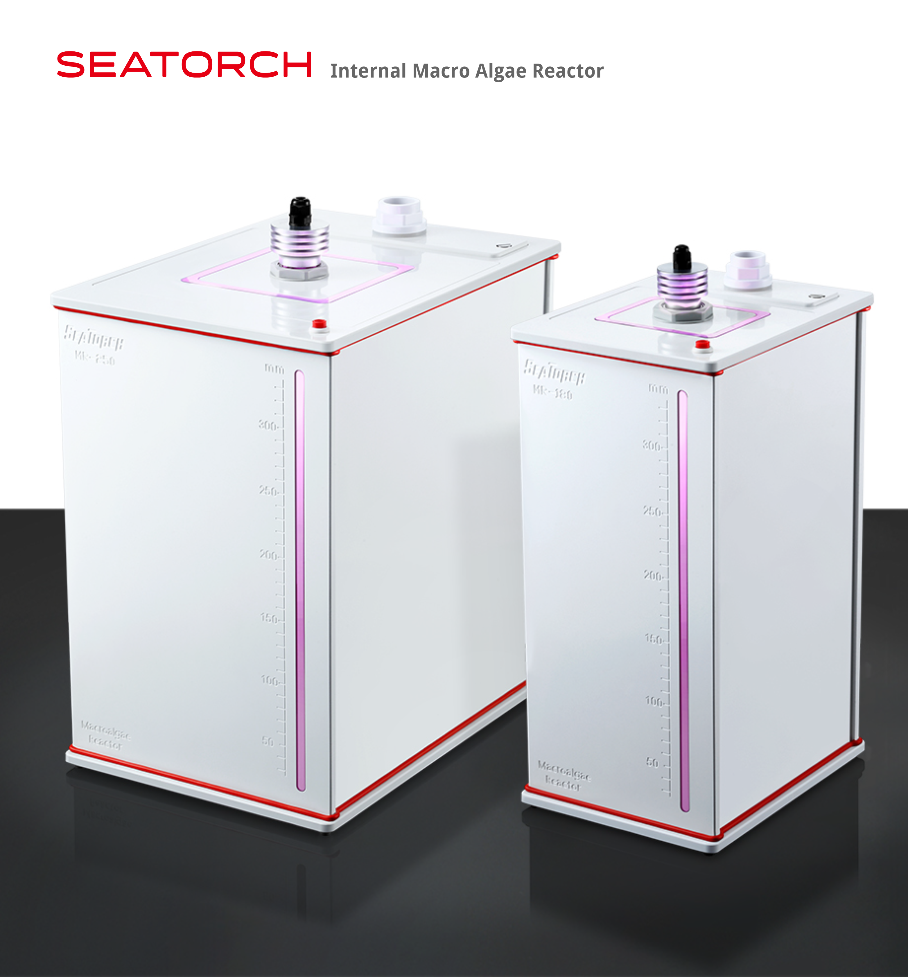 Macro algae reactor for reef tank
Reef aquarium macro algae reactor
Chaeto reactor for marine aquarium
Algae reactor filtration system
Refugium reactor for reef aquarium
Macro algae filtration reactor
Marine aquarium nutrient reactor
Chaetomorpha algae reactor
Aquarium algae scrubber reactor
Reef tank nitrate reduction reactor