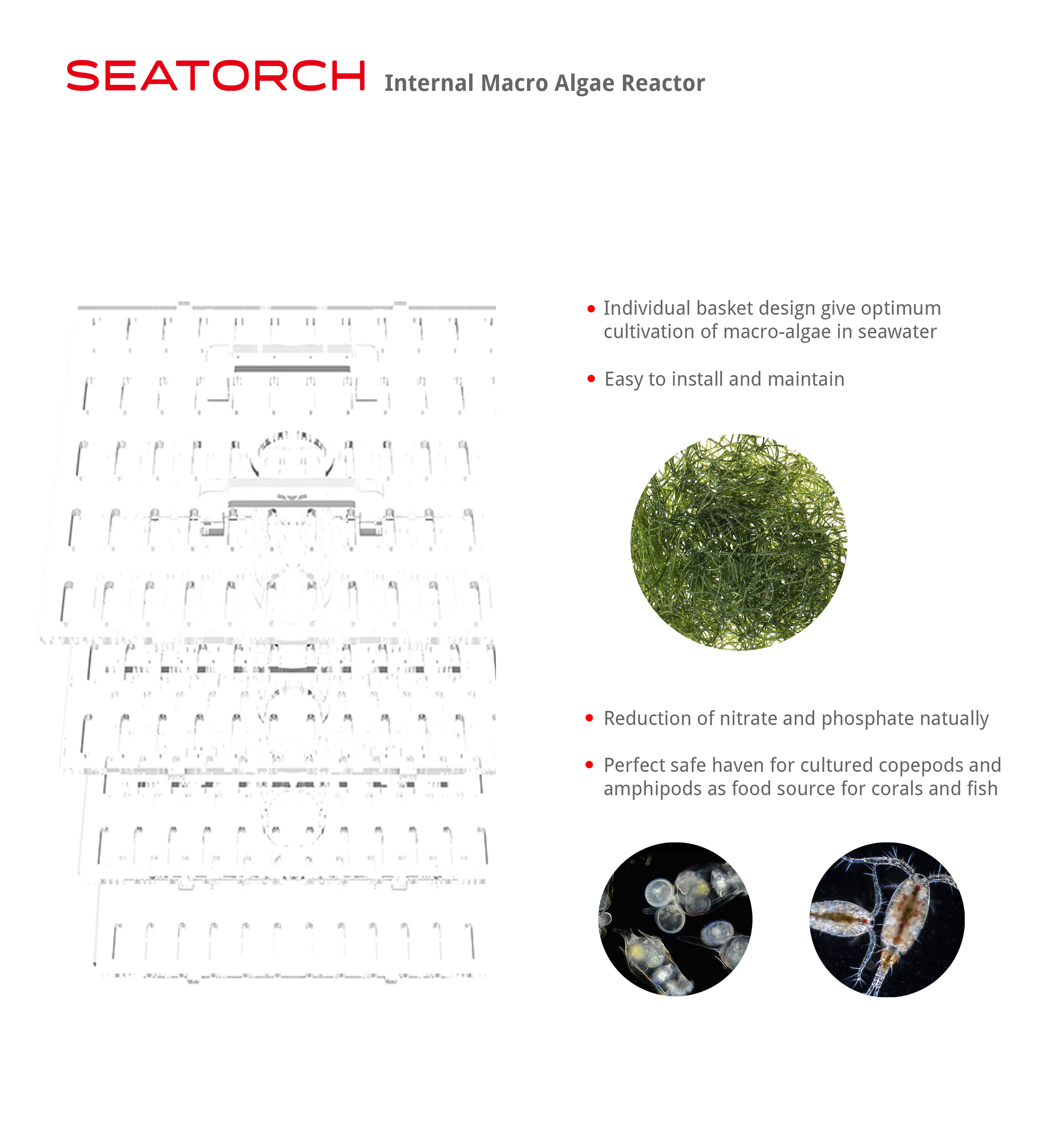 Macro algae reactor for reef tank
Reef aquarium macro algae reactor
Chaeto reactor for marine aquarium
Algae reactor filtration system
Refugium reactor for reef aquarium
Macro algae filtration reactor
Marine aquarium nutrient reactor
Chaetomorpha algae reactor
Aquarium algae scrubber reactor
Reef tank nitrate reduction reactor