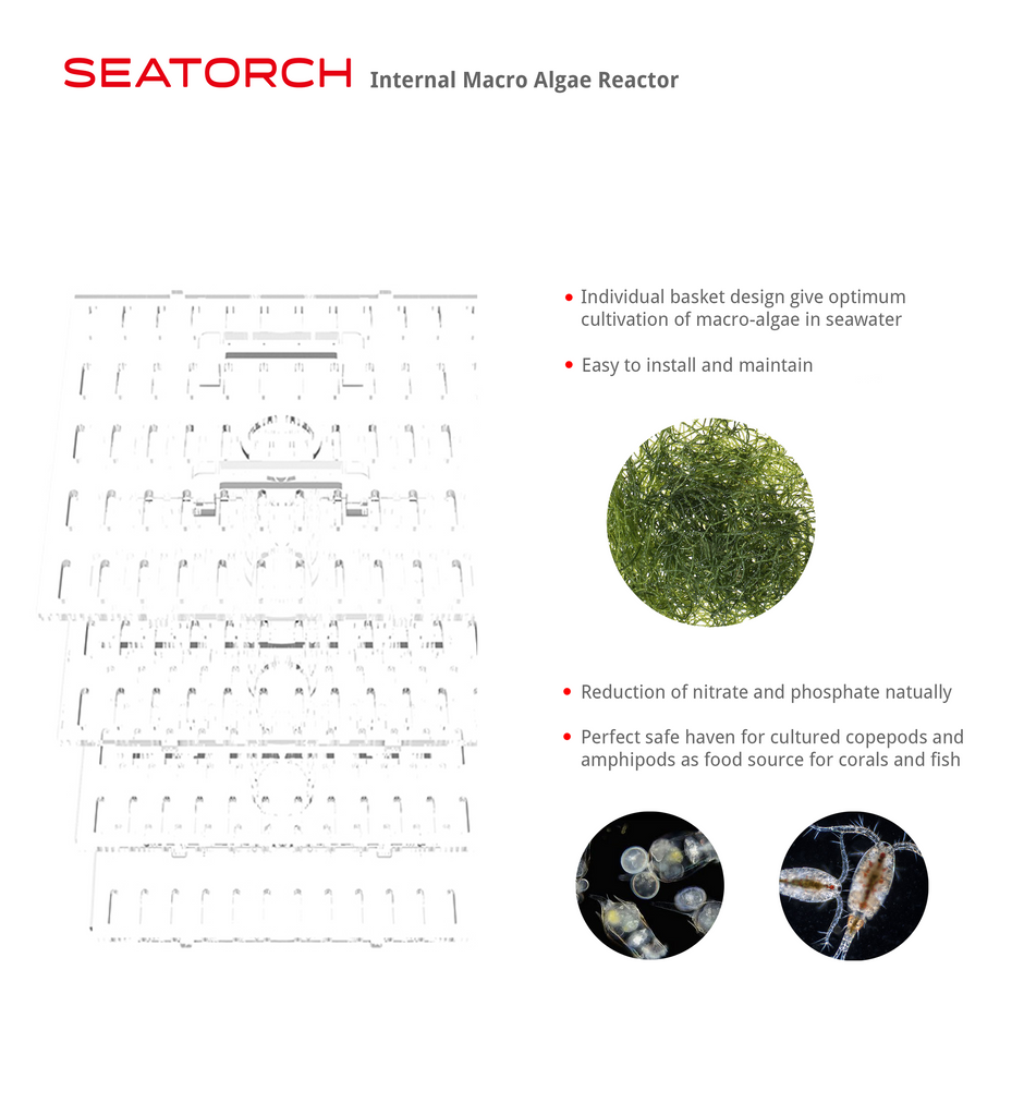 Macro algae reactor for reef tank
Reef aquarium macro algae reactor
Chaeto reactor for marine aquarium
Algae reactor filtration system
Refugium reactor for reef aquarium
Macro algae filtration reactor
Marine aquarium nutrient reactor
Chaetomorpha algae reactor
Aquarium algae scrubber reactor
Reef tank nitrate reduction reactor