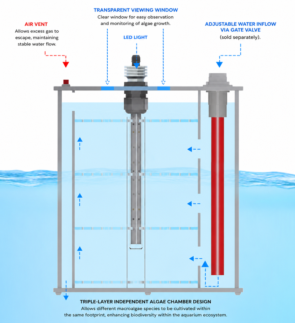 Macro algae reactor for reef tank
Reef aquarium macro algae reactor
Chaeto reactor for marine aquarium
Algae reactor filtration system
Refugium reactor for reef aquarium
Macro algae filtration reactor
Marine aquarium nutrient reactor
Chaetomorpha algae reactor
Aquarium algae scrubber reactor
Reef tank nitrate reduction reactor