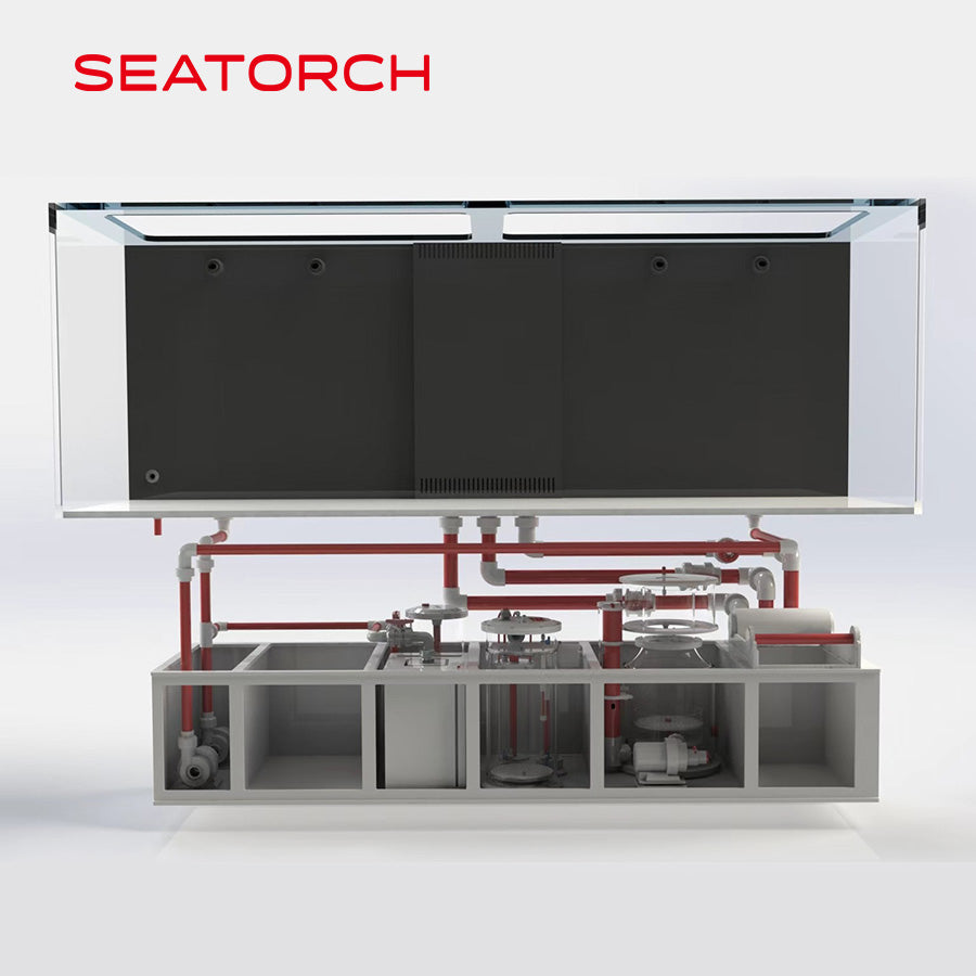 Custom aquarium sump
Reef tank filtration system
Durable PVC sump
Aquarium overflow sump
Marine filtration sump
Protein skimmer sump
Aquarium sump filtration
High quality aquarium sump
Reef ready sump
Aquarium cabinet sump
Custom marine aquarium
Custom made marine aquarium
Custom reef tank
Custom aquarium tank
Marine aquarium builder
Bespoke reef aquarium
Custom saltwater aquarium
Custom fish tank