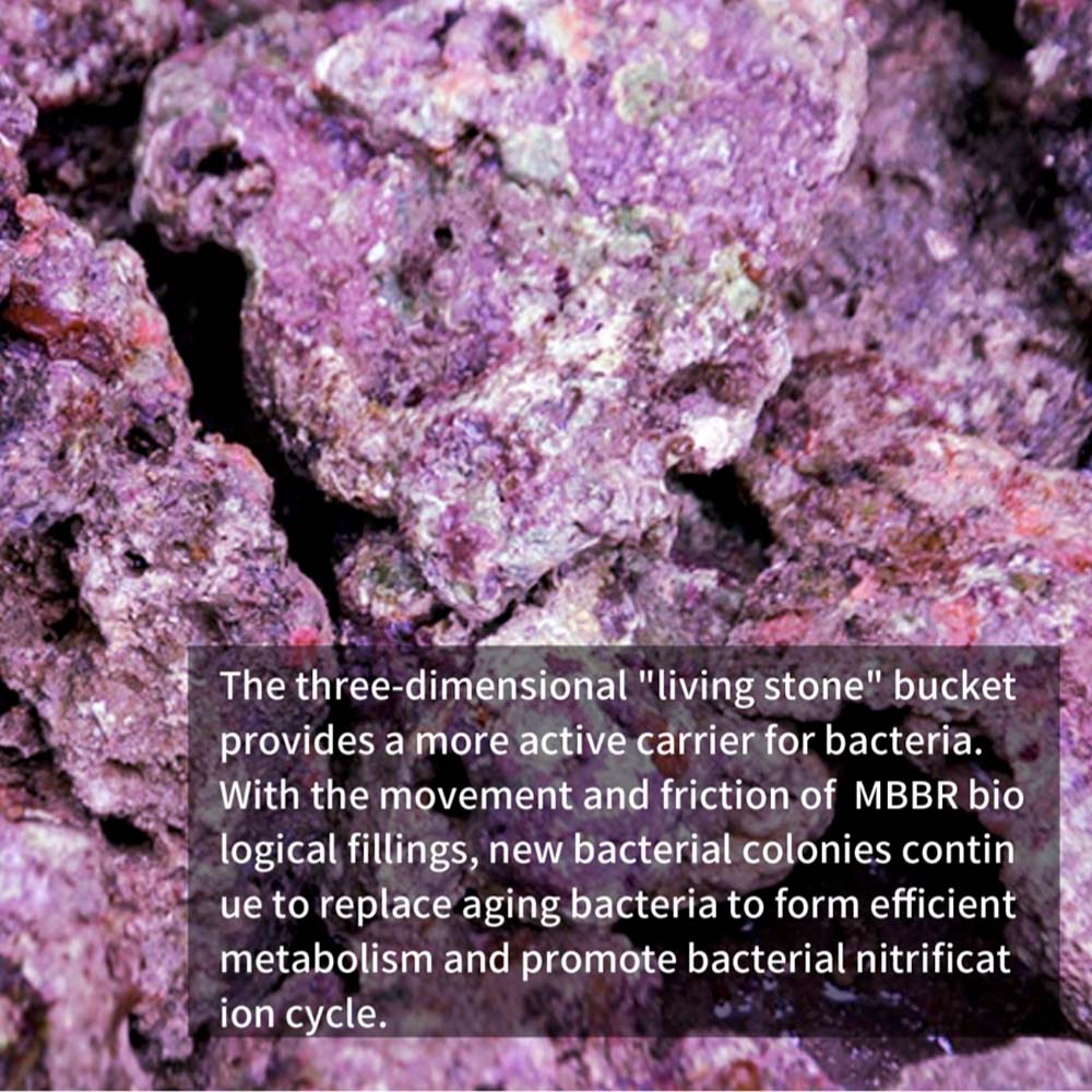 MBBR Moving Bed Bio Reactor