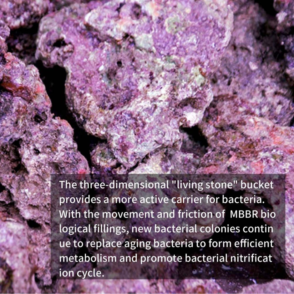 MBBR Moving Bed Bio Reactor