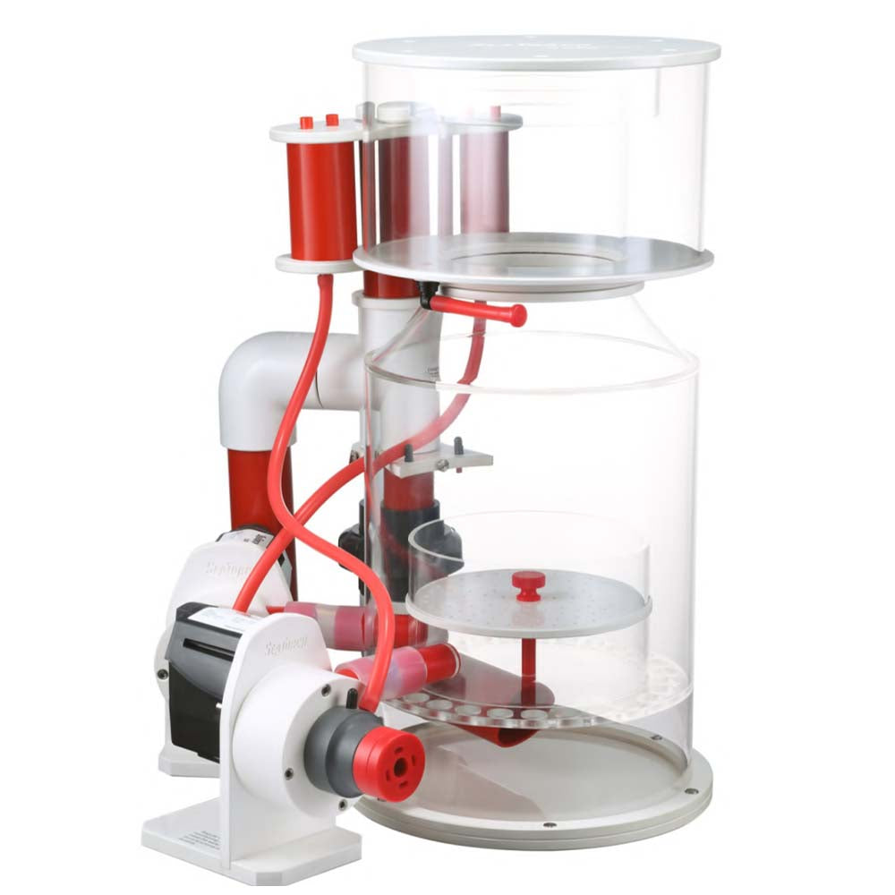 Best smart AC protein skimmer for reef tank
Ultra quiet protein skimmer 
Protein skimmer with overflow protection
Premium marine aquarium skimmer
Protein skimmer compatible with aquarium 
Smart AC protein skimmer
Reef tank protein skimmer
Seatorch protein skimmer
Ultra quiet protein skimmer
Marine aquarium skimmer
OCTO compatible skimmer
royal exclusiv compatible skimmer